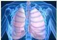 Respiratory Image