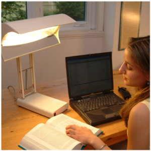 Northern Light Desk Lamp
