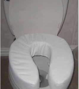 Padded Toilet Seat Cushion
